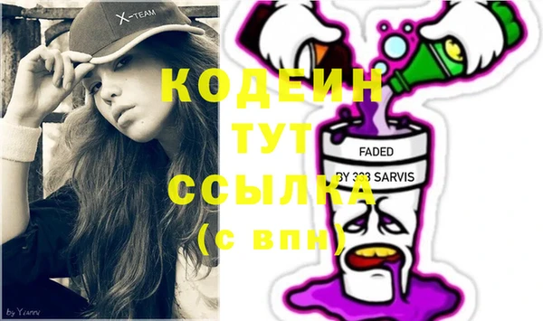 молекула духа Алексин