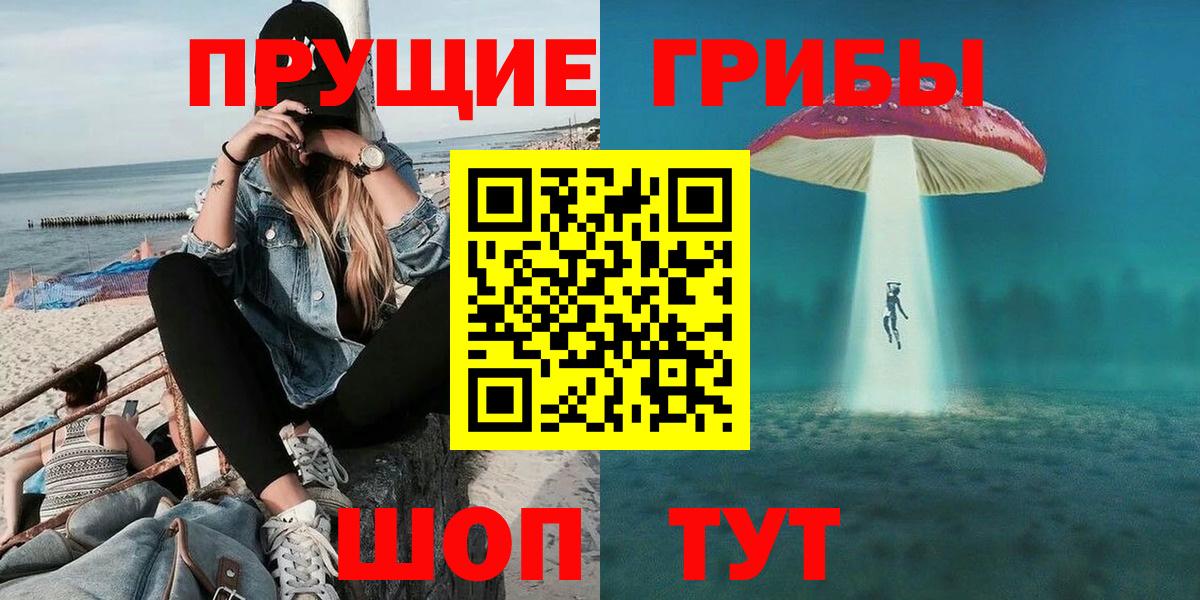 Железноводск  где можно купить наркотик  Галлюциногенные грибы прущие грибы  Вход с VPN  Псилоцибиновые грибы GOLDEN TEACHER 